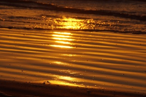 de vloedlijn lijkt wel van goud tijdens de zonsopkomst 
