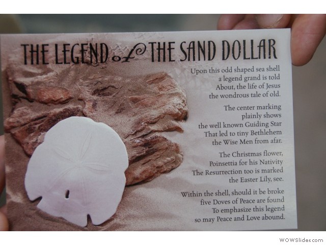 belooft aan Alny, een foto van een Sand-dollar