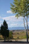 DSC04148.jpg