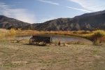 DSC05154.jpg
