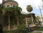 Savannah