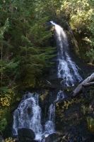 op weg naar Mount Rainier